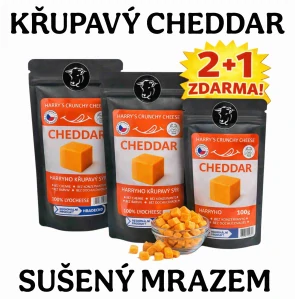 Křupavý sýr CHEDDAR 100g 2+1 Zdarma AKCE